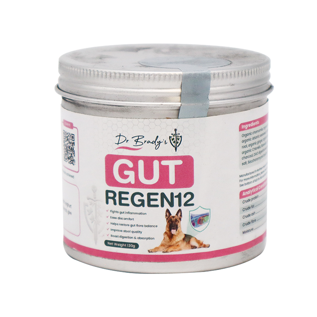 Dr. Brady's Gut Regen12