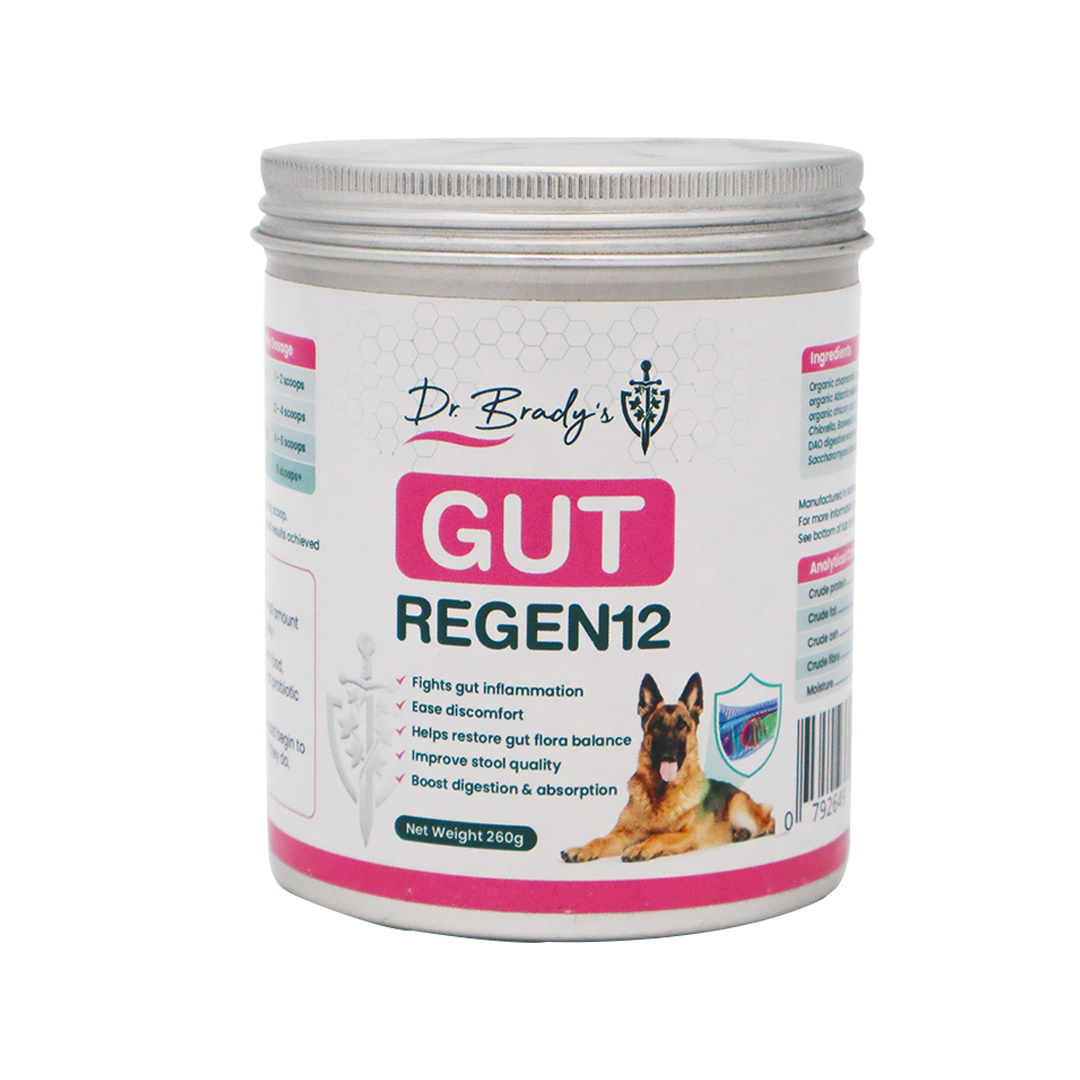 Dr. Brady's Gut Regen12