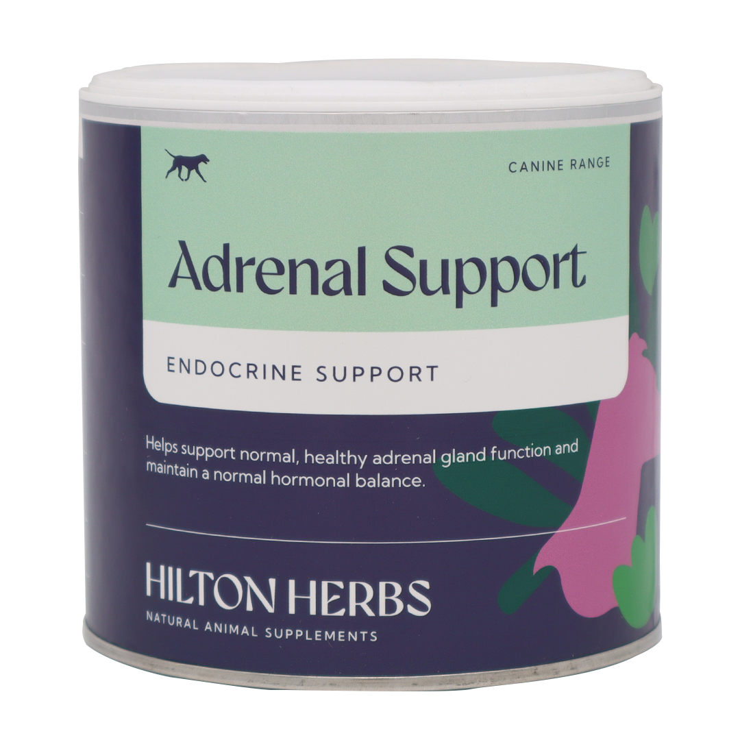 Hilton Herbs Adrenal Support - 125g