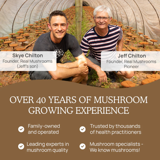 Real Mushrooms | Organic Siberian Chaga Extract Powder – 60g