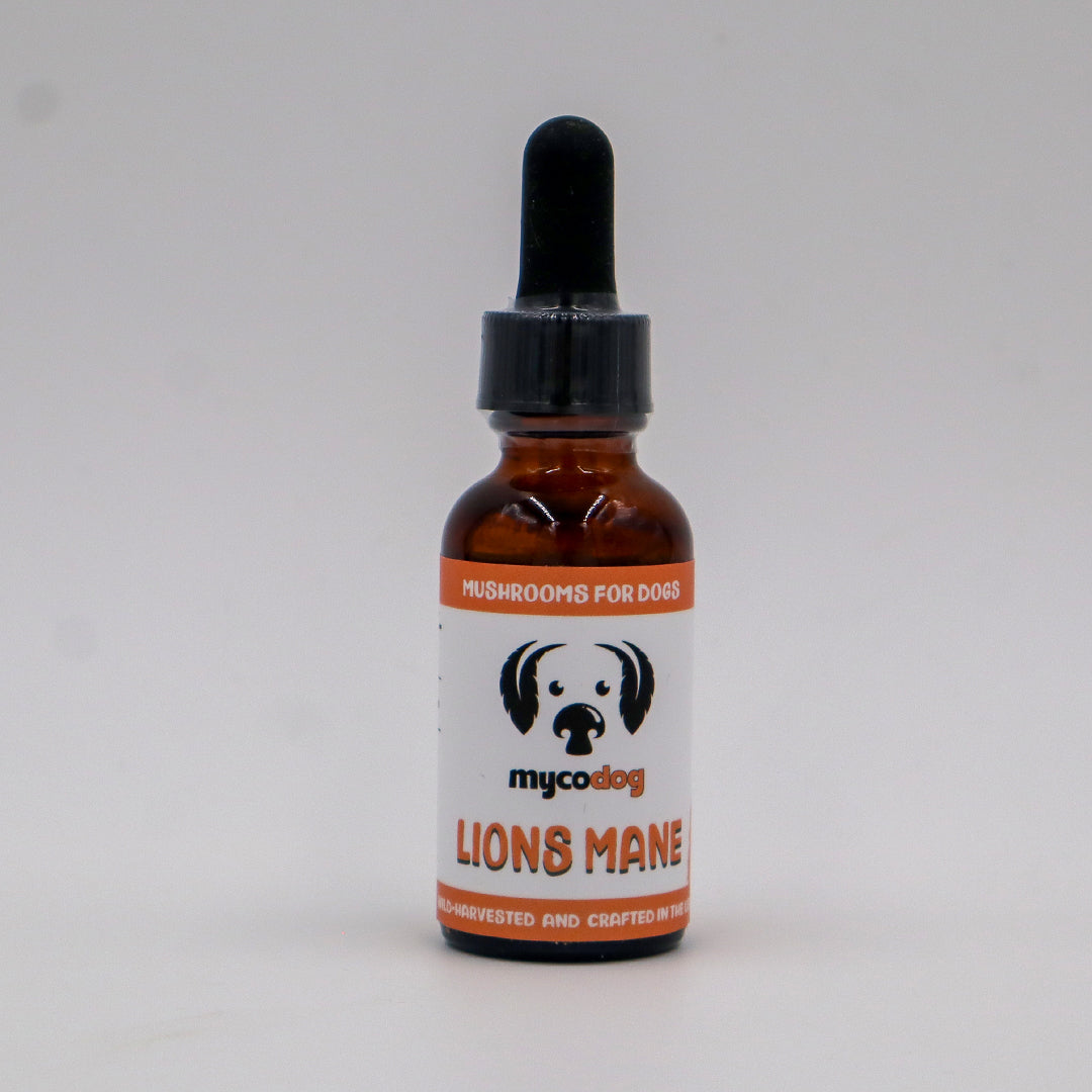MYCODog | Lion's Mane Tincture