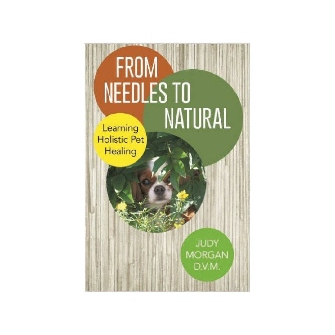 From Needles to Natural Dr. Judy Morgan s Naturally Healthy Pets