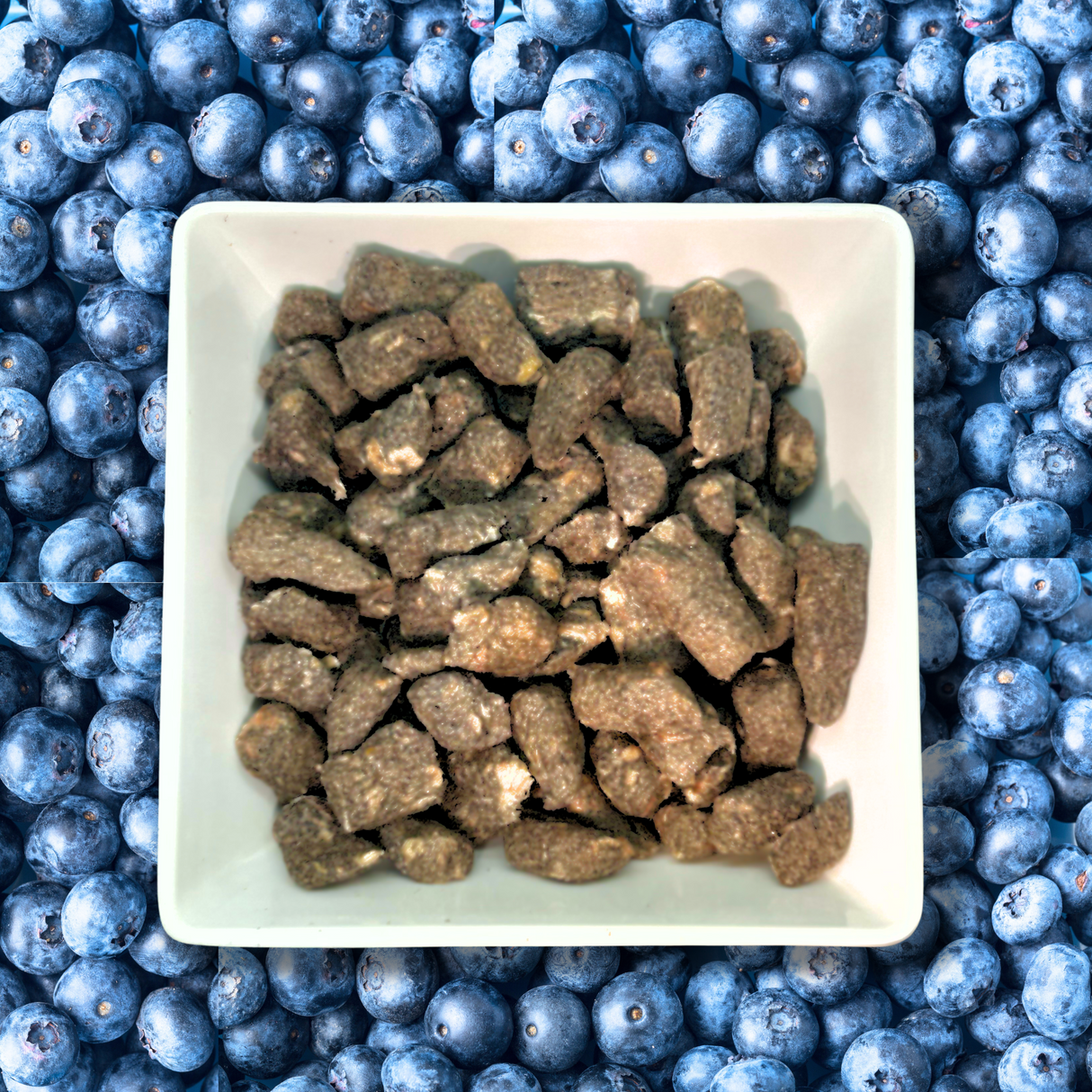 Woof Creek Natural Duck Bites w/Rabbit + Blueberries | for Dogs + Cats