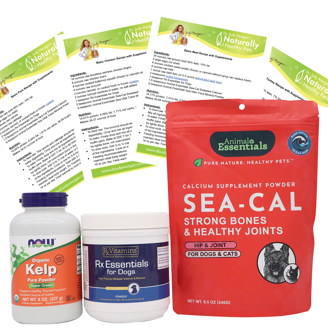 Homemade Dog Food Basic Recipes Bundle