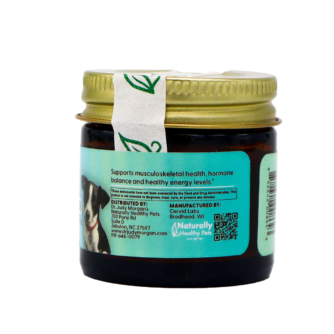 A small amber jar of Dr. Judy's Elk Velvet Antler Powder for Small Dogs (7g) with a gold lid and a blue label displaying information about pet health benefits such as joint support for dogs, as well as a barcode and a photo of two dogs. A white seal with a green leaf design runs across the lid.