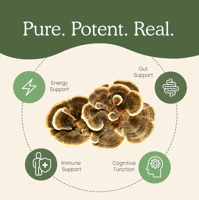 Real Mushrooms | Organic Turkey Tail Extract Powder - 45g