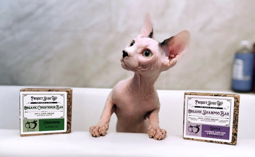 Project Sudz Organic Conditioning Bar