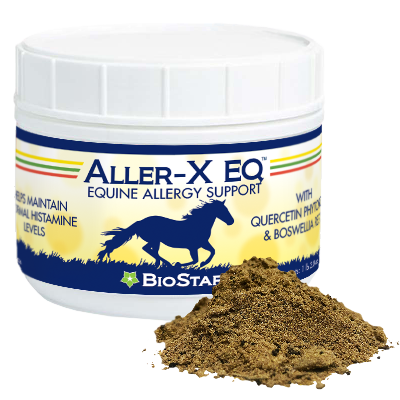 Aller-X EQ Allergy Support for Equines