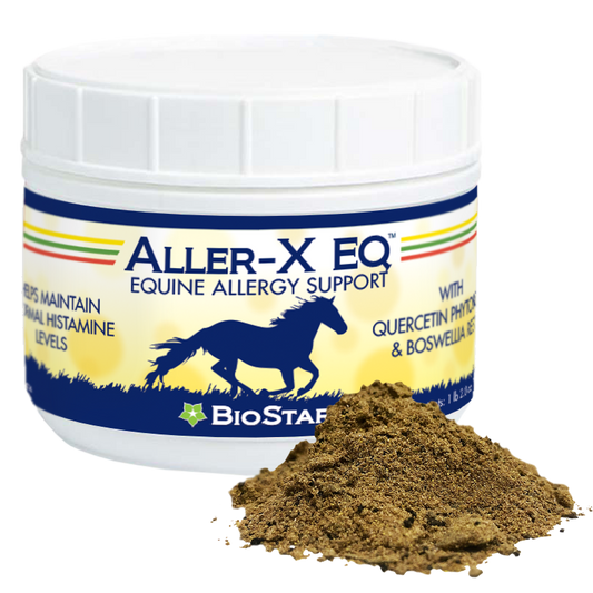Aller-X EQ Allergy Support for Equines