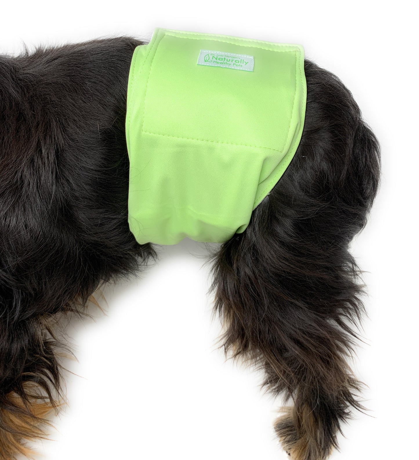 Male Diaper Wraps for Dogs (3 pack) Solid Color
