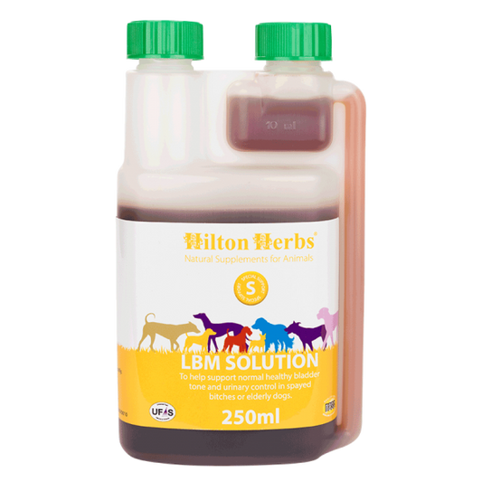 Hilton Herbs LBM Solution for Incontinence