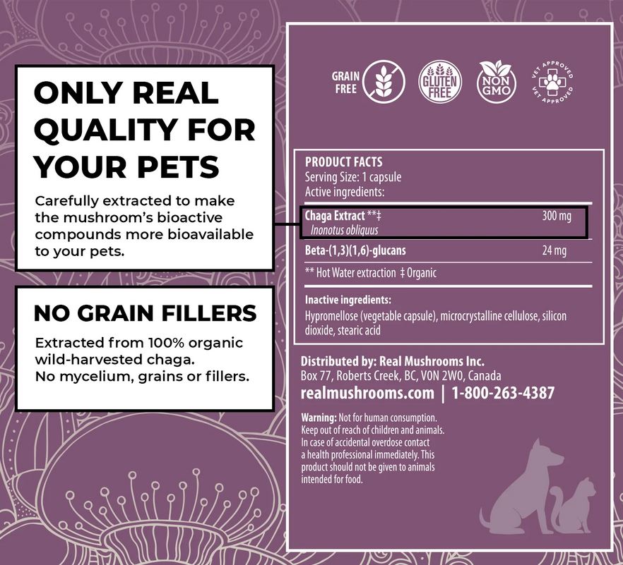 Real Mushrooms Organic Siberian Chaga Extract Capsules for Pets | 120 Capsules