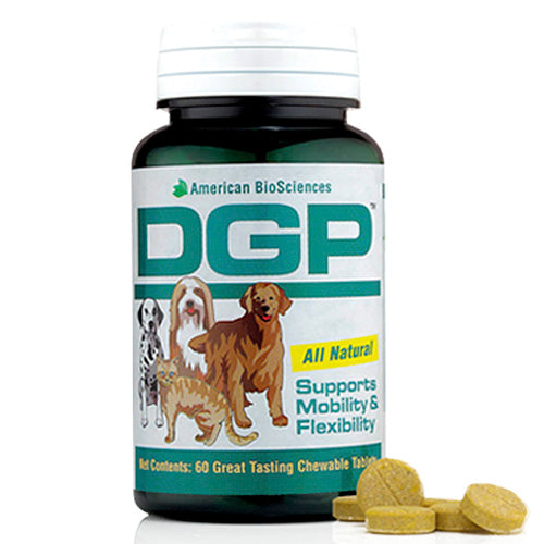 Dog Gone Pain