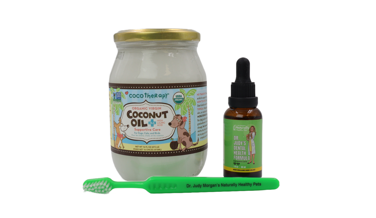 Dr. Judy Morgan's DIY Toothpaste