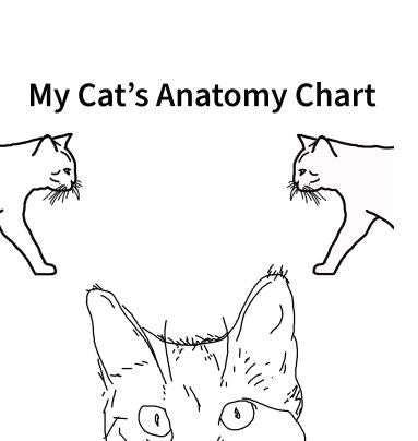 Pet Body Map - Track Lumps, Bumps, Wounds & Warts