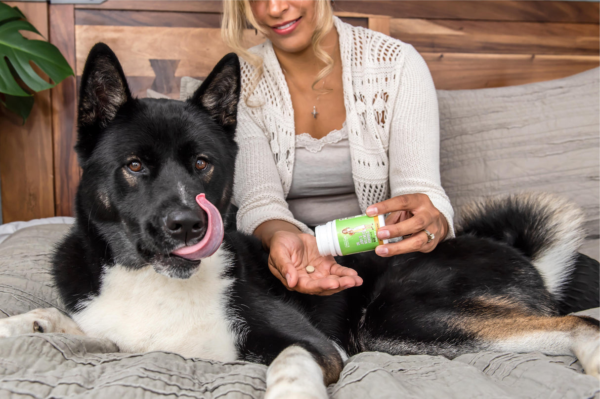 Dr. Judy Morgan's Wellness Formula