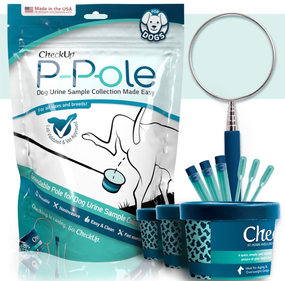 CheckUp | P-Pole Urine Collection Kit for Dogs