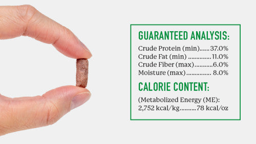 Dr. Harvey's | Rabbit Bites - Freeze Dried Treats