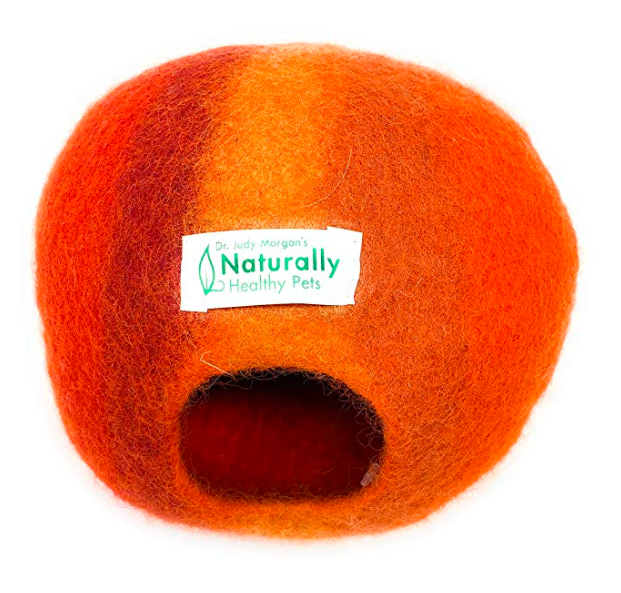 Dr. Morgan's Rodent Cave