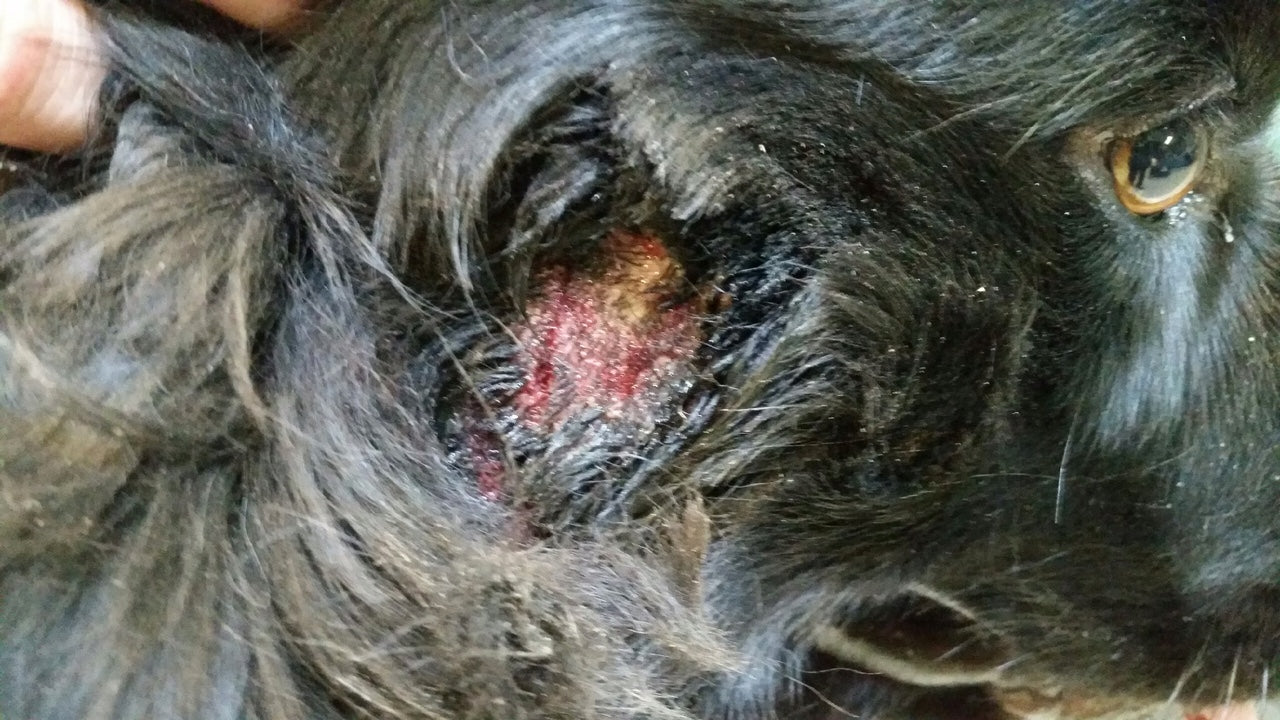 Hot Spots Hurt!