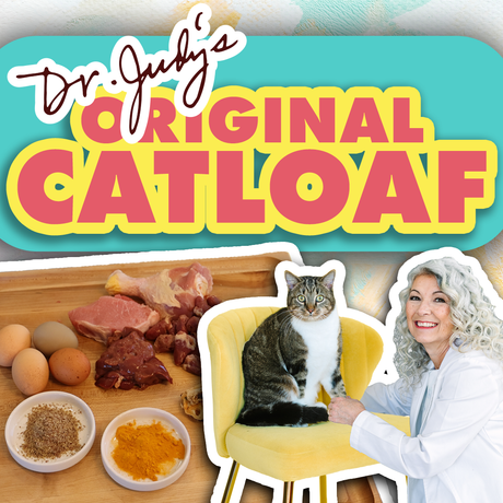 Dr. Judy's Gently Cooked Catloaf