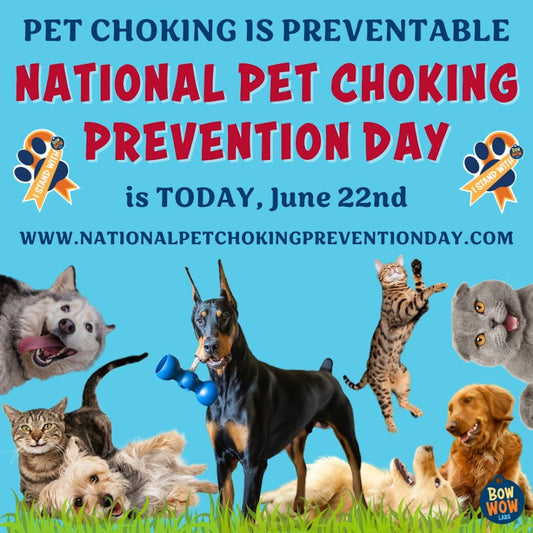 Pet Choking Prevention Awareness