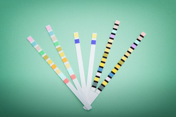 Urinary Tract Infections in Dogs and Cats