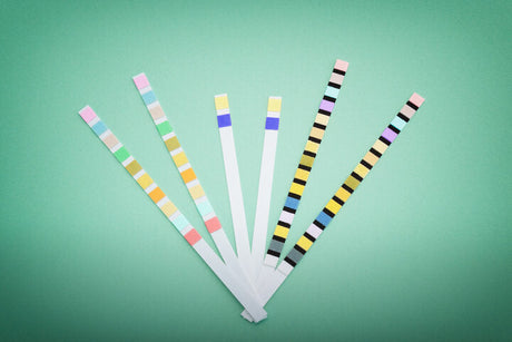 Urinary Tract Infections in Dogs and Cats