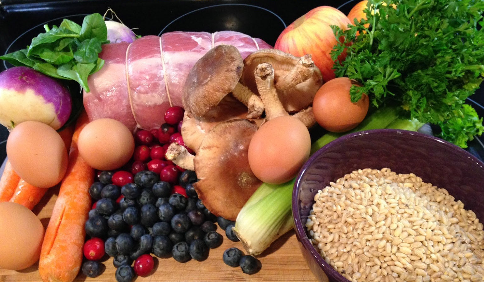 Are Processed Pet Foods Contributing to Pet Disease?
