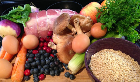 Are Processed Pet Foods Contributing to Pet Disease?