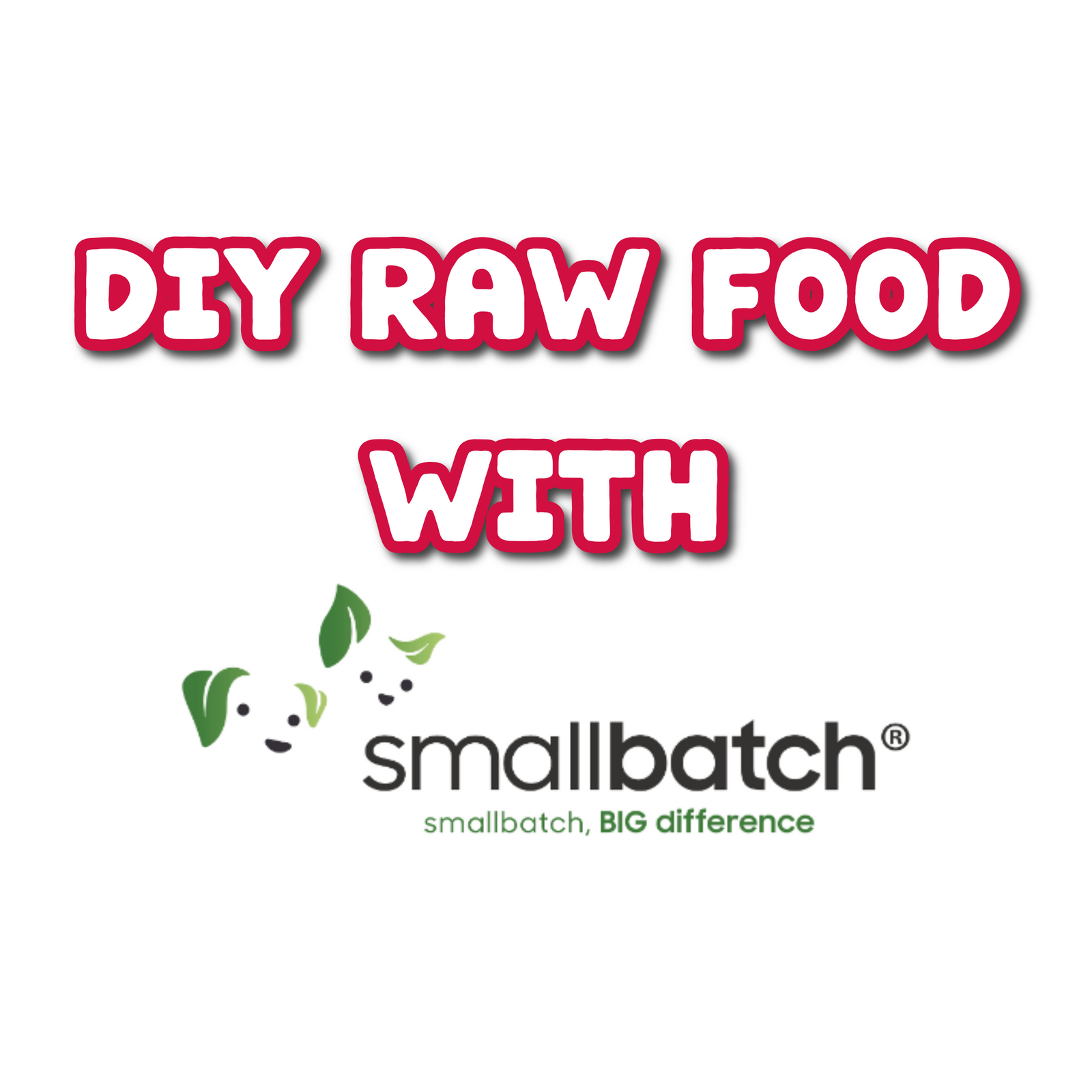 DIY Raw Food Using Smallbatch® Base Blends