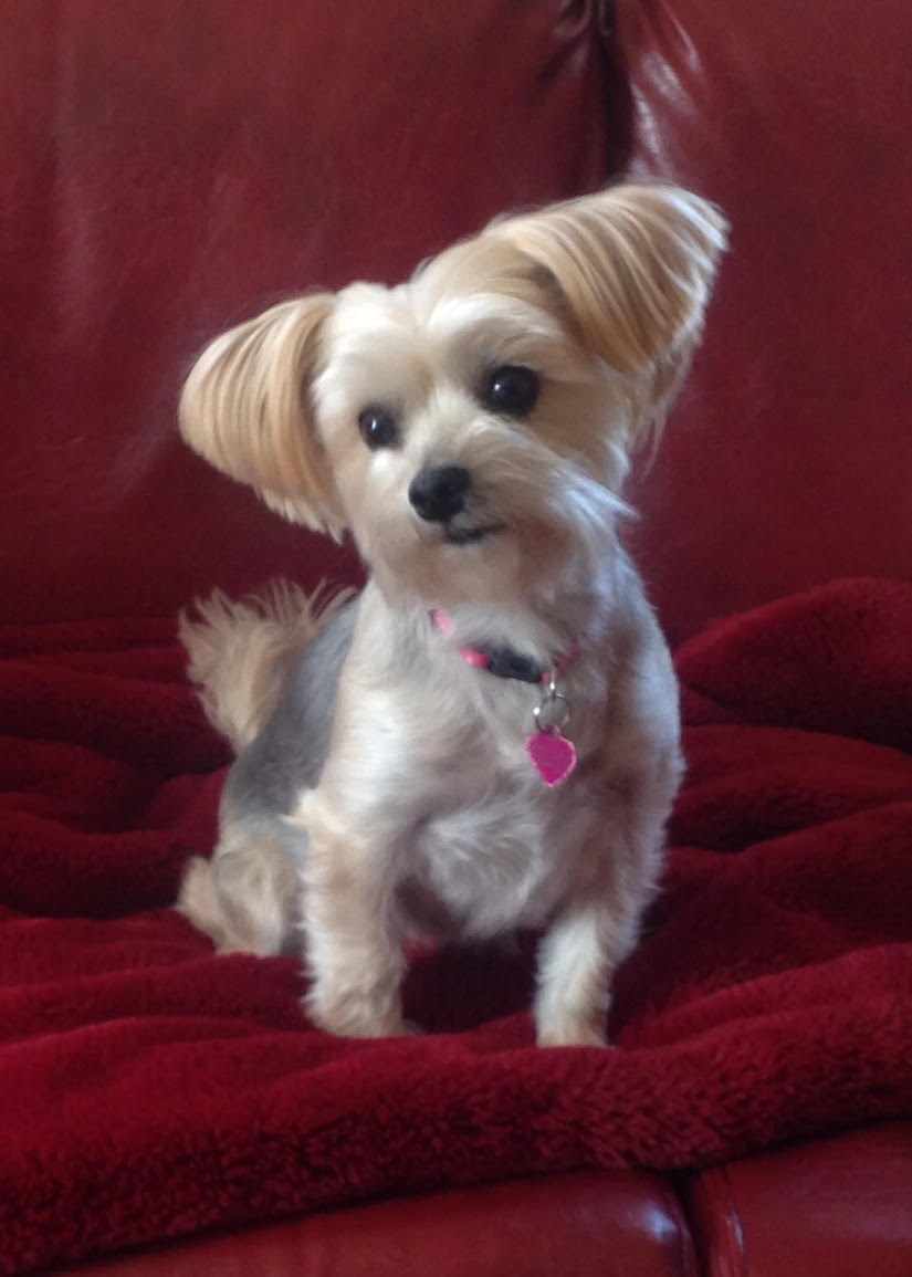 Heart Disease Success Story