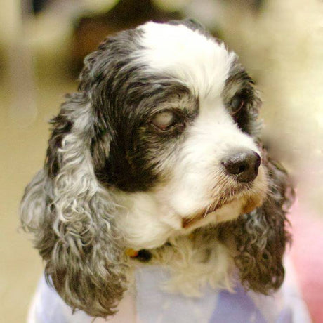 Diagnosing and Treating Kidney Disease