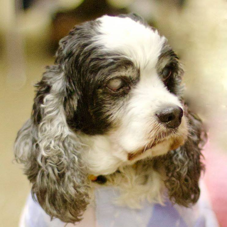 Diagnosing and Treating Kidney Disease