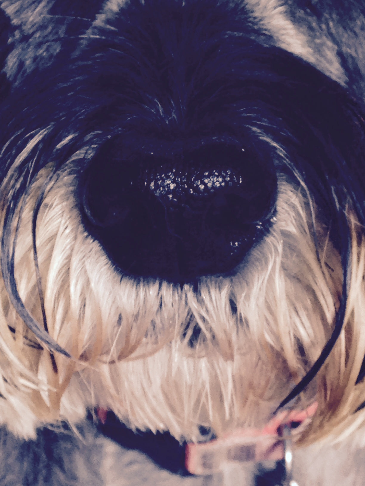 The Nose Knows