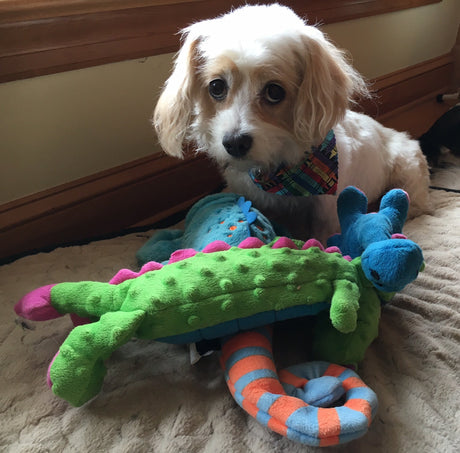 And There Was Great Rejoicing!