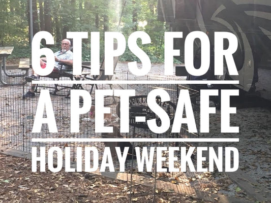 6 Tips for a Pet-Safe Labor Day Weekend