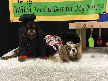 Pet Food Companies are Listening?
