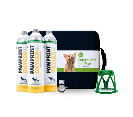 How to Use Oxygen Therapy for Your Pet