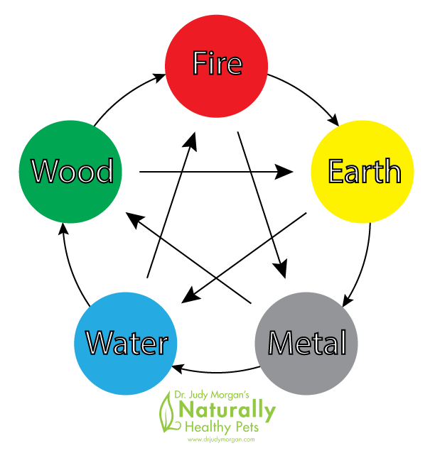 Interaction Between TCVM Elements: How to Feed for Deficiencies & Excesses