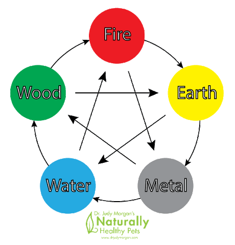 Interaction Between TCVM Elements: How to Feed for Deficiencies & Excesses