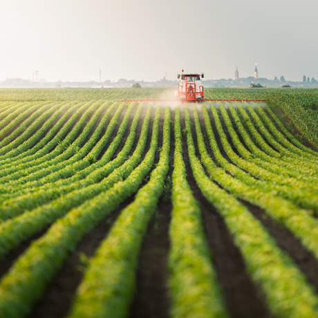 The Benefits of Farm Diversification
