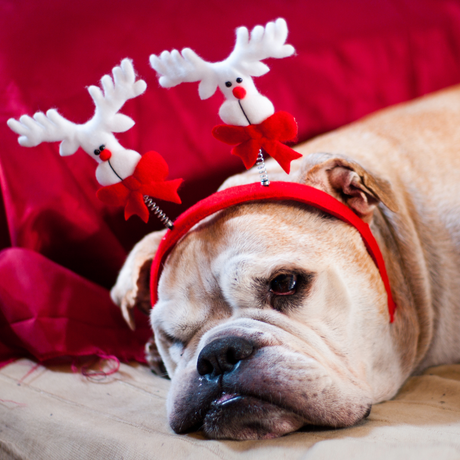 THRIVE During the Holiday Season- Tips for Reducing Stress