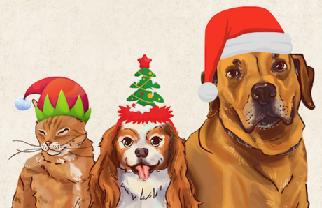 Dr. Judy's Christmas Feast for Dogs & Cats!