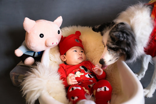 Expecting? Integrating Pets and Babies in Your Home