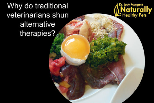 Why Do Traditional Veterinarians Shun Alternative Therapies?