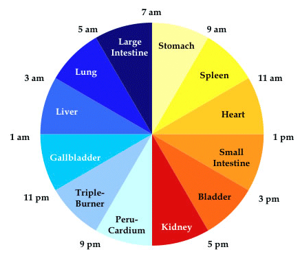The Cycle of Life (or Qi)