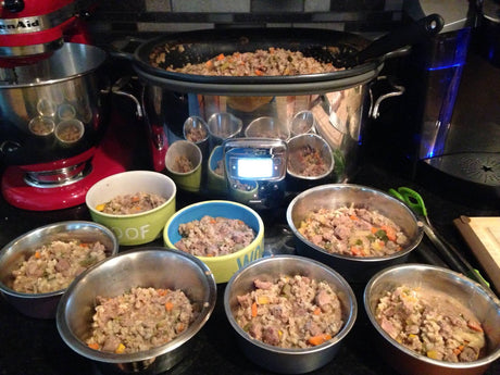 Balancing Home-Made Diets