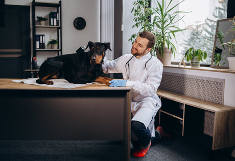 Evaluating Liver Function with Lab Work