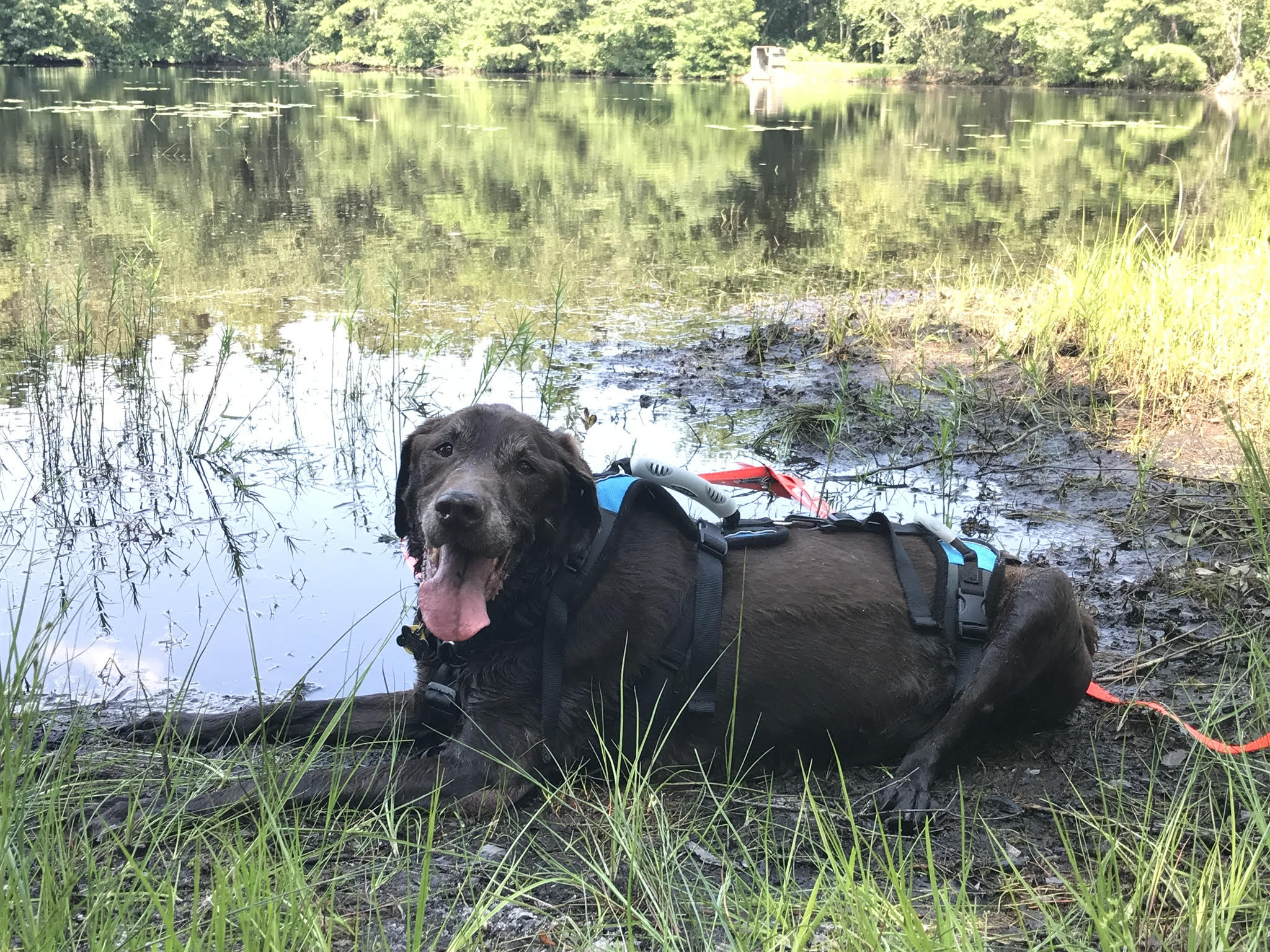 Martina Mcbride'S Emotional "Dream Come True" Moment: Get The Tissues Ready - 3c38g53